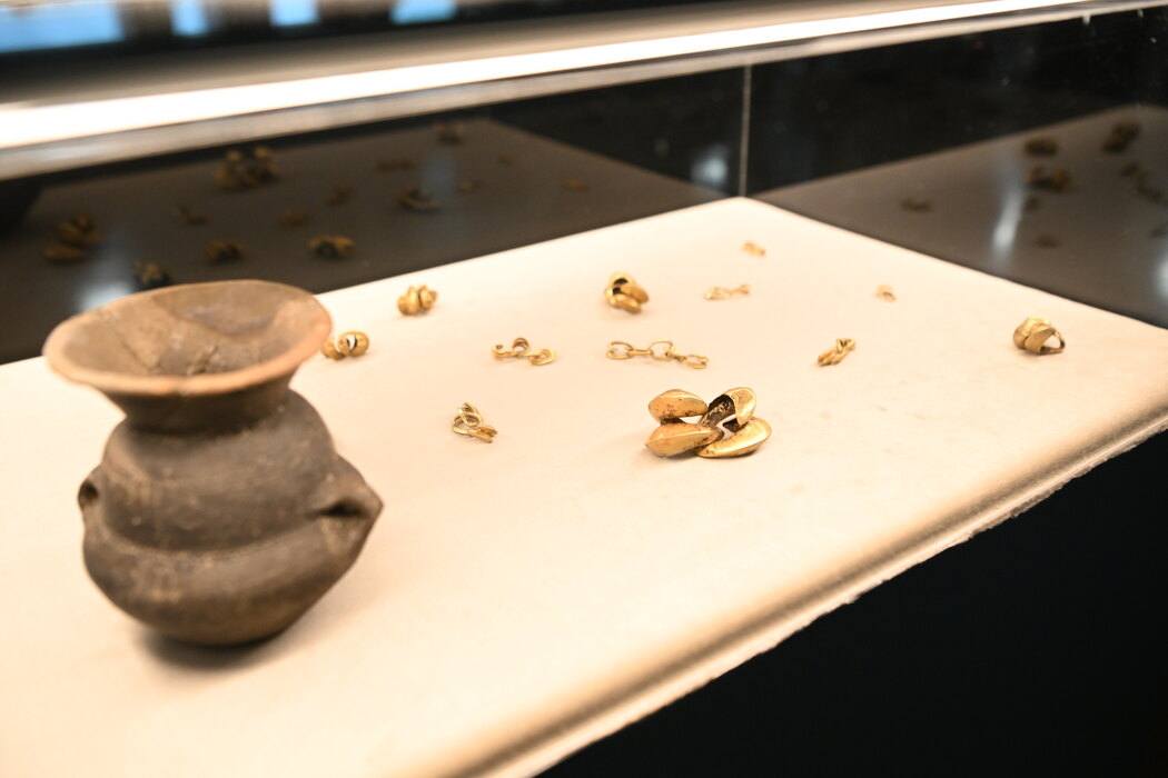 nakit pronadjen u grmusi skorenocva