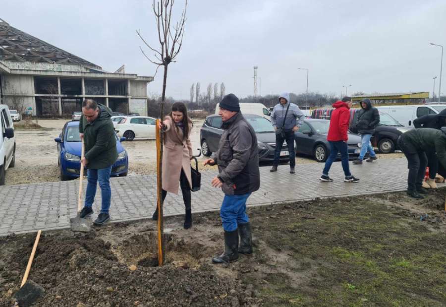 U ime Grada Pančeva drvo je zasadila Katarina Banjai, članica Gradskog veća za zaštitu životne sredine i održivi razvoj, a prisustvovao je i Nemanja Bogdanov, direktor Kulturnog centra Pančevo.
