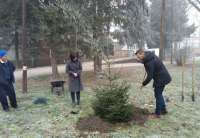 Jelena Stojković Sokolović i Zoran Milošević ispred porodilišta u Pančevu zasadili su drvo u okviru akcije &quot;Za novi život&quot;