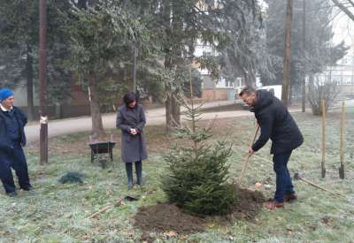 Jelena Stojković Sokolović i Zoran Milošević ispred porodilišta u Pančevu zasadili su drvo u okviru akcije 