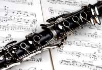 Koncert studenata klarineta biće održan u nedelju, 5. marta u maloj sali Doma kulture “3. oktobar” Banatsko Novo Selo sa početkom u 18 časova