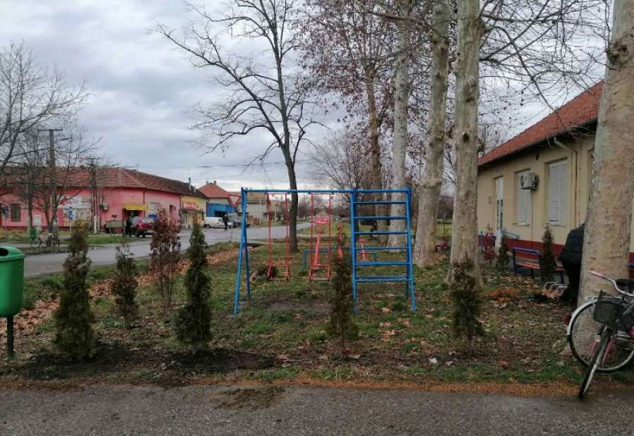 Sadnice su posađene na više lokacija: ispred fudbalskog stadiona FK Jugoslavija, ispred Doma kulture i priobalje Tamiša, na Sportskom rekreativnom centru „Pobeda“ u Jabuci