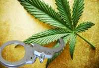 U ormanu improvizovanom za uzgoj biljaka u veštačkim uslovima, policija je pronašla saksiju sa biljkom marihuane, dok su na ručicama ormara pronađene tri grane marihuane ukupne težine oko pola kilograma