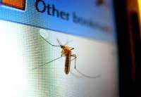 Suzbijanje larvi komaraca počeće 14. maja