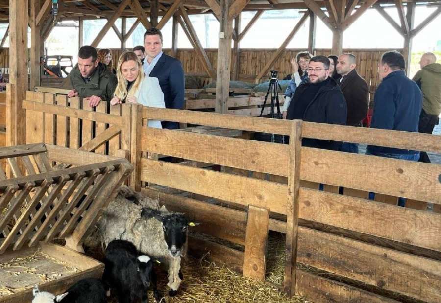 Ministarka poljoprivrede Jelena Tanasković obišla je farmu ovaca u Pančevu u kojoj se uzgaja 650 ovaca romanske rase