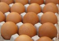 Donošenjem ovog pravilnika postavljeni su novi, stroži zahtevi za obeležavanje i klasiranje jaja