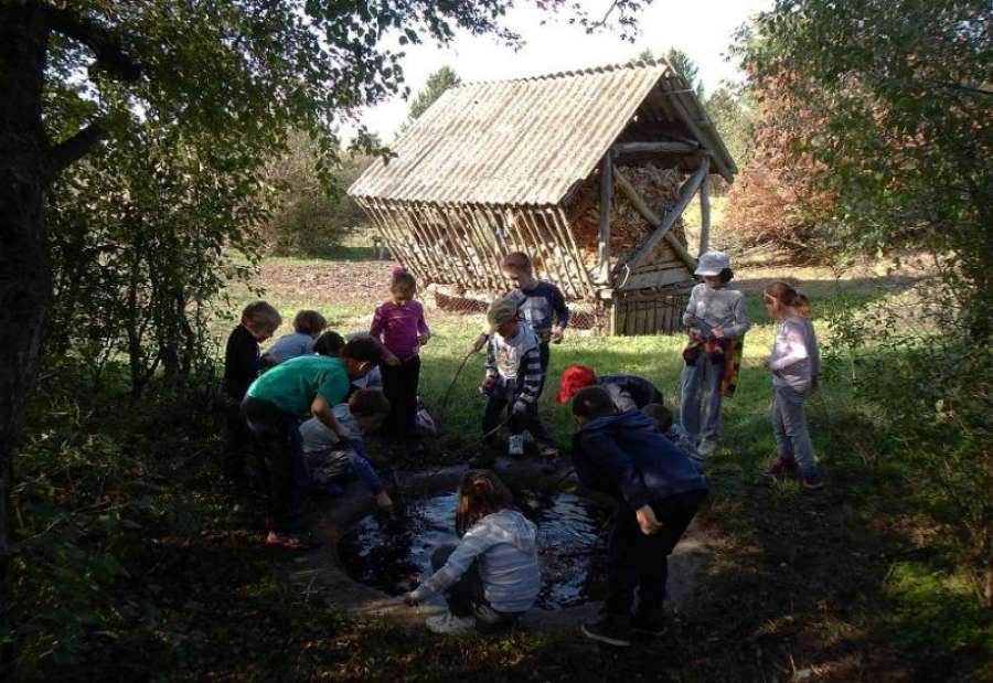 UG „Deliblatika“ iz Pančeva je tokom jeseni 2015. godine, realizovalo Projekat „Eko kamp Peščara“