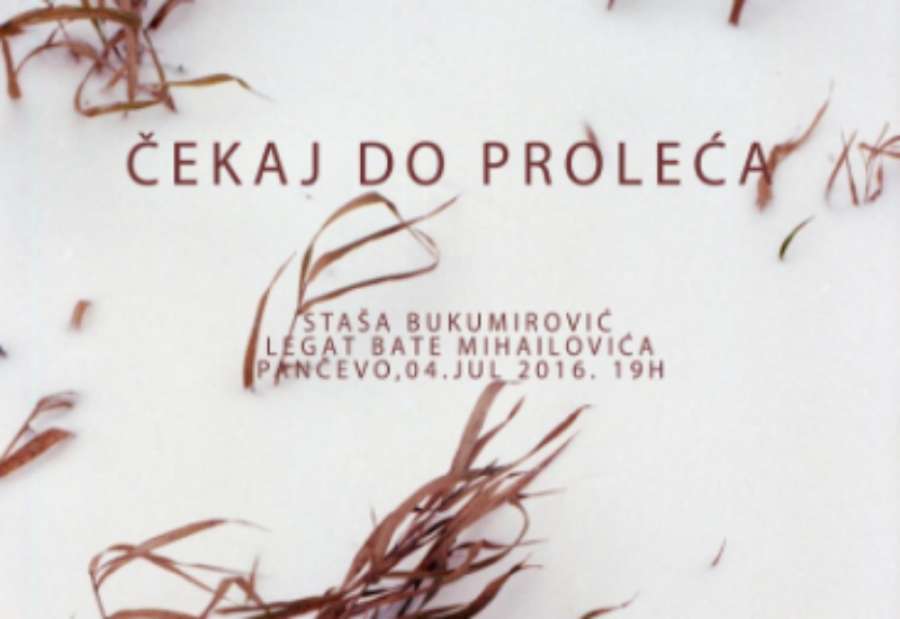 Izložba fotografija „Čekaj do proleća” Staše Bukumirović