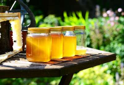 Počinje evidentiranje proizvođača deliblatskog meda i pokreće se postupak zaštite geografske oznake Deliblatskog meda