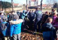 Učenici četvrtog i trećeg razreda Osnovne škole Branko Radičević u školskom dvorištu zasadili su drvo 