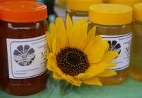Dolovački dani pčelarstva biće održani 17. jula