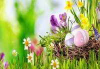 Gosti na štandu Društva MNRO će biti ŠOSO &quot;Mara Mandić&quot;, dnevni boravak &quot;Neven&quot; i Dom &quot;Srce u jabuci&quot; Jabuka