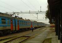 Od sutra ponovo osam vozova na liniji Beograd-Pančevo-Zrenjanin