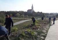 Zasađeno je oko 50 sadnica sibirskog bresta na bregu oko škole