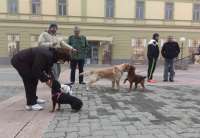 Građani su protestovali s kućnim ljubimcima nezadovoljni gradskom Odlukom o držanju pasa i mačaka