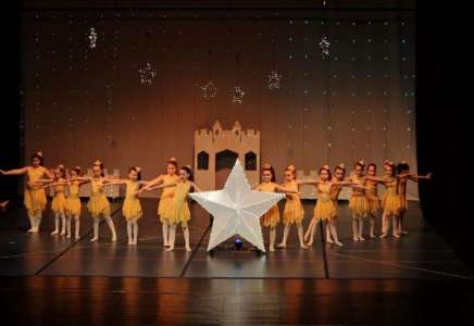 Zimska bajka Plesnog studija Balerina oduševila Pančevo