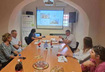 Pančevo: Održan treći sastanak stejkholdera u okviru projekta TERRAIN u čijem fokusu je urbana mobilnost
