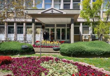 Sumnja na prevaru u Pančevu: Lažno prijavljivali napade lutalica da bi dobili novac od grada