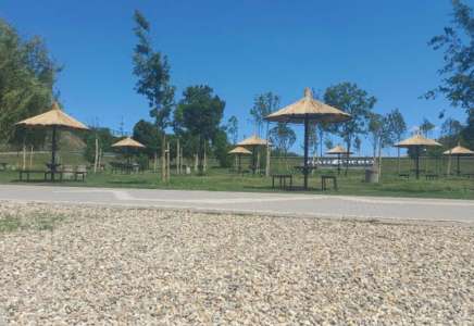 JKP Zelenilo Pančevo uređuje plažu na Tamiškom keju