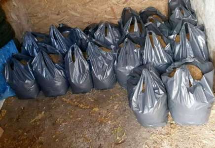 Policija u Pančevu zaplenila više od 300 kilograma duvana