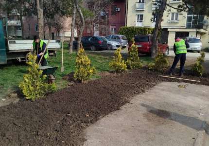 Javna komunalna preduzeća „Higijena“ i „Zelenilo“ udruženim radom do čistije okoline