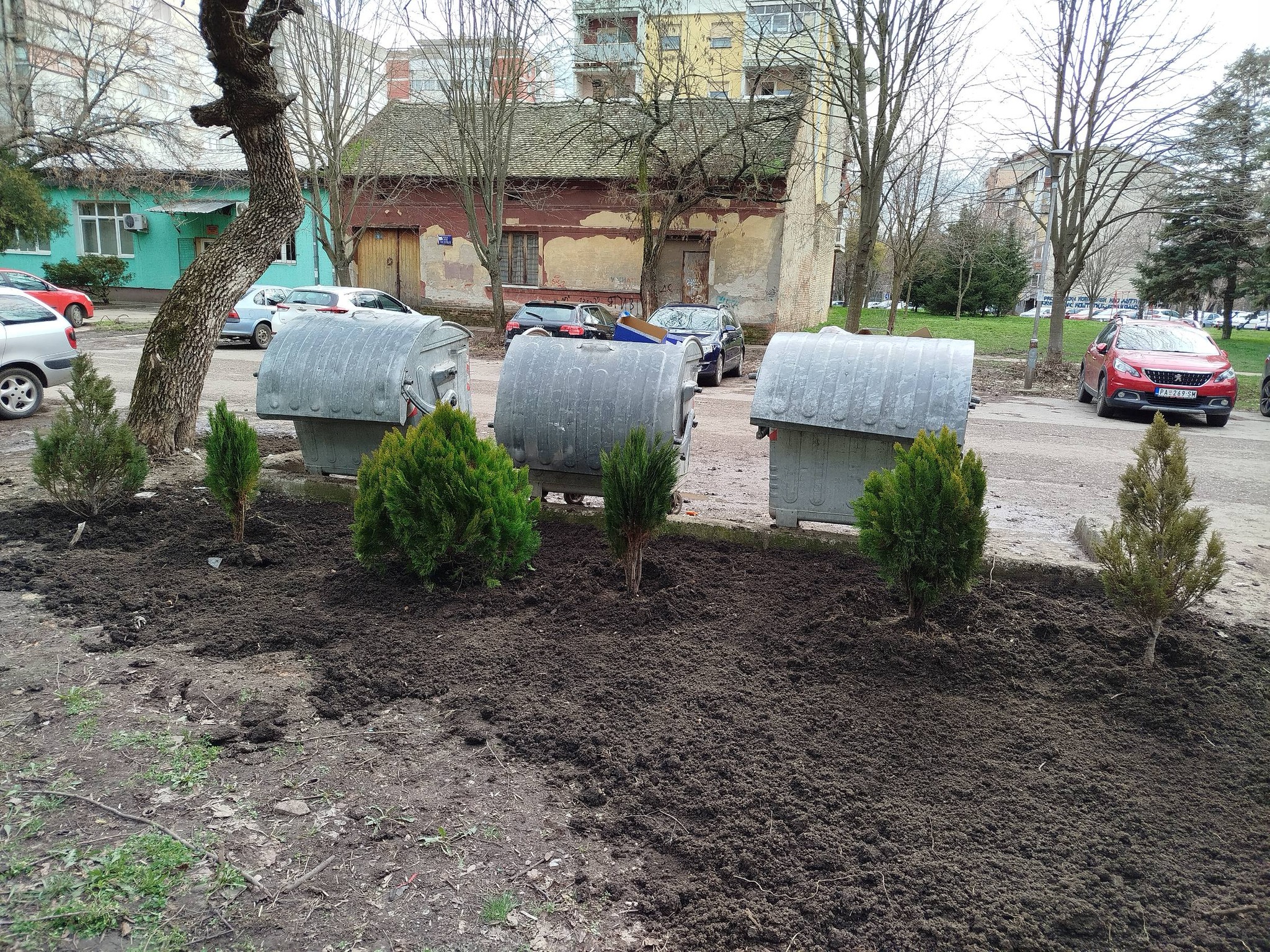 640556105 1435777445002931 3912086596359464874 n