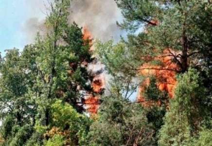Požar u Deliblatskoj peščari zahvatio više od 940 hektara